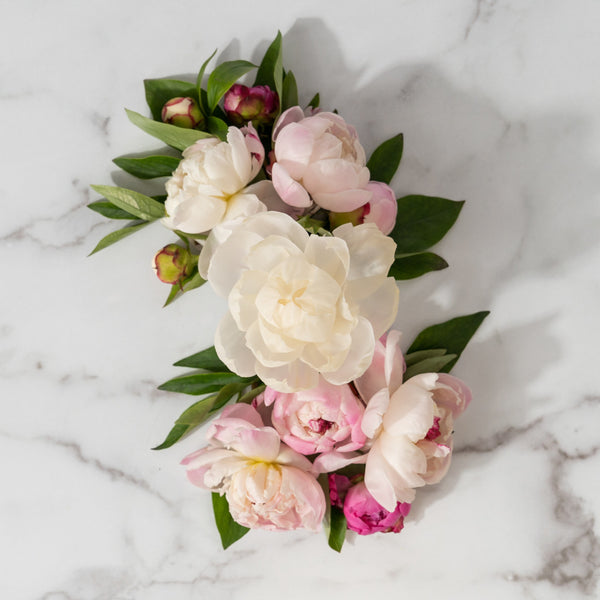 Peony Bloom Flower Diffuser