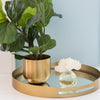 Haven Flower Diffuser