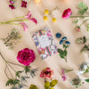 Grandiflora Sachet 6 Pack