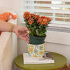 Patterned 3 Wick Candle - Bella Freesia