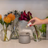 Grandiflora Home Fragrance Oil