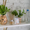Seaspray Diffuser Oil Refill