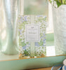 Hydrangea Sachet 6 Pack
