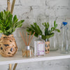 Lavender Diffuser Oil Refill