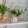 Haven Diffuser Oil Refill
